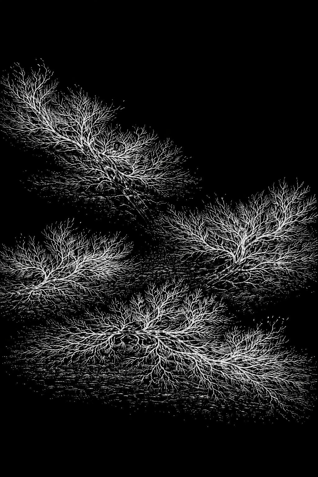 ai-mycelium